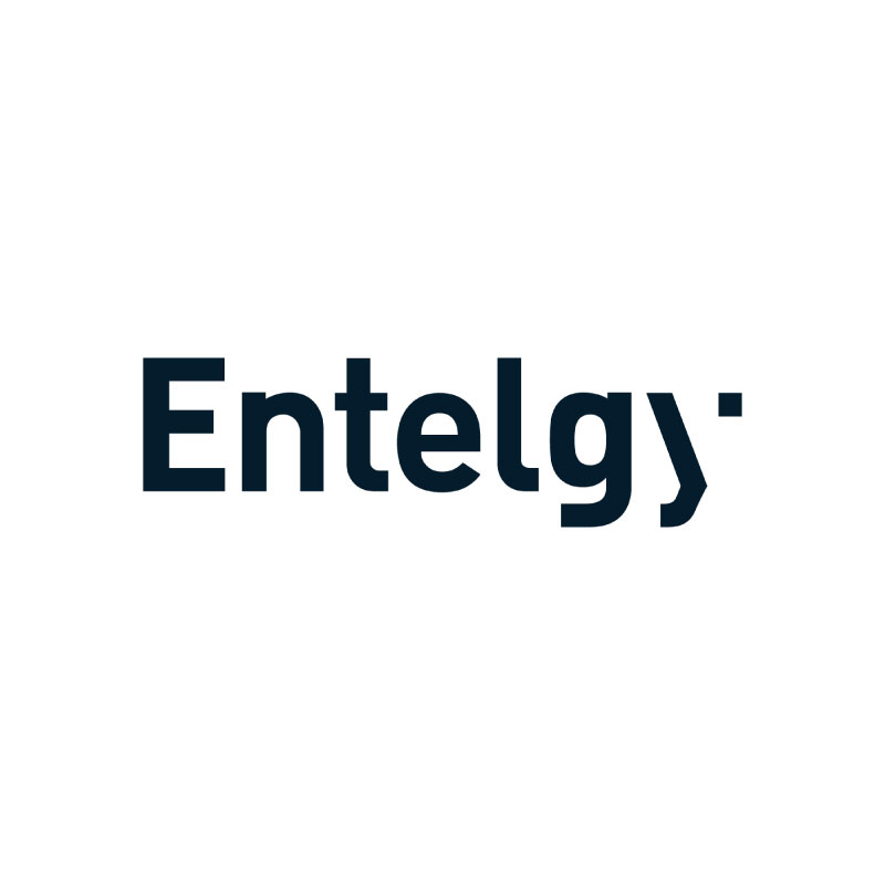 Entelgy Chile Consultores