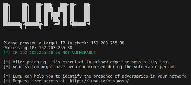 VPN vulnerability check green