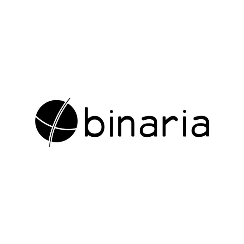 Binaria Sistemas