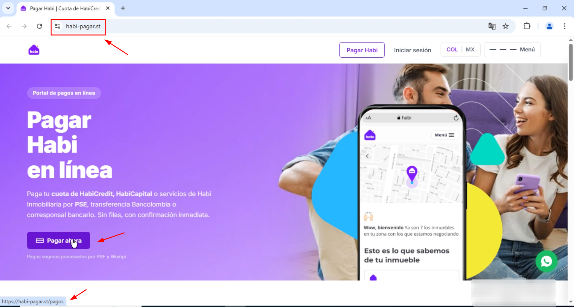 fraudulent payment network