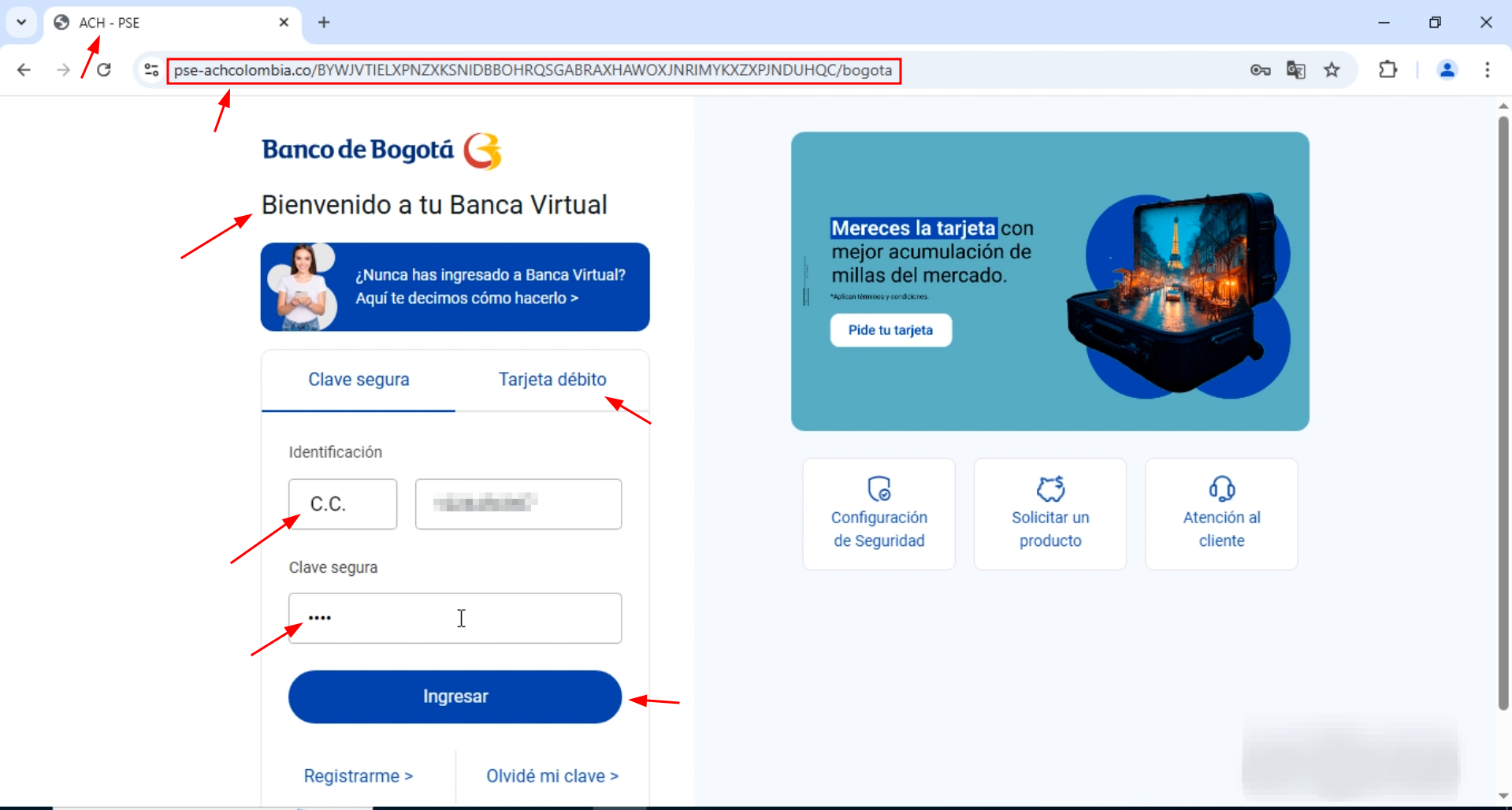 fraudulent payment network