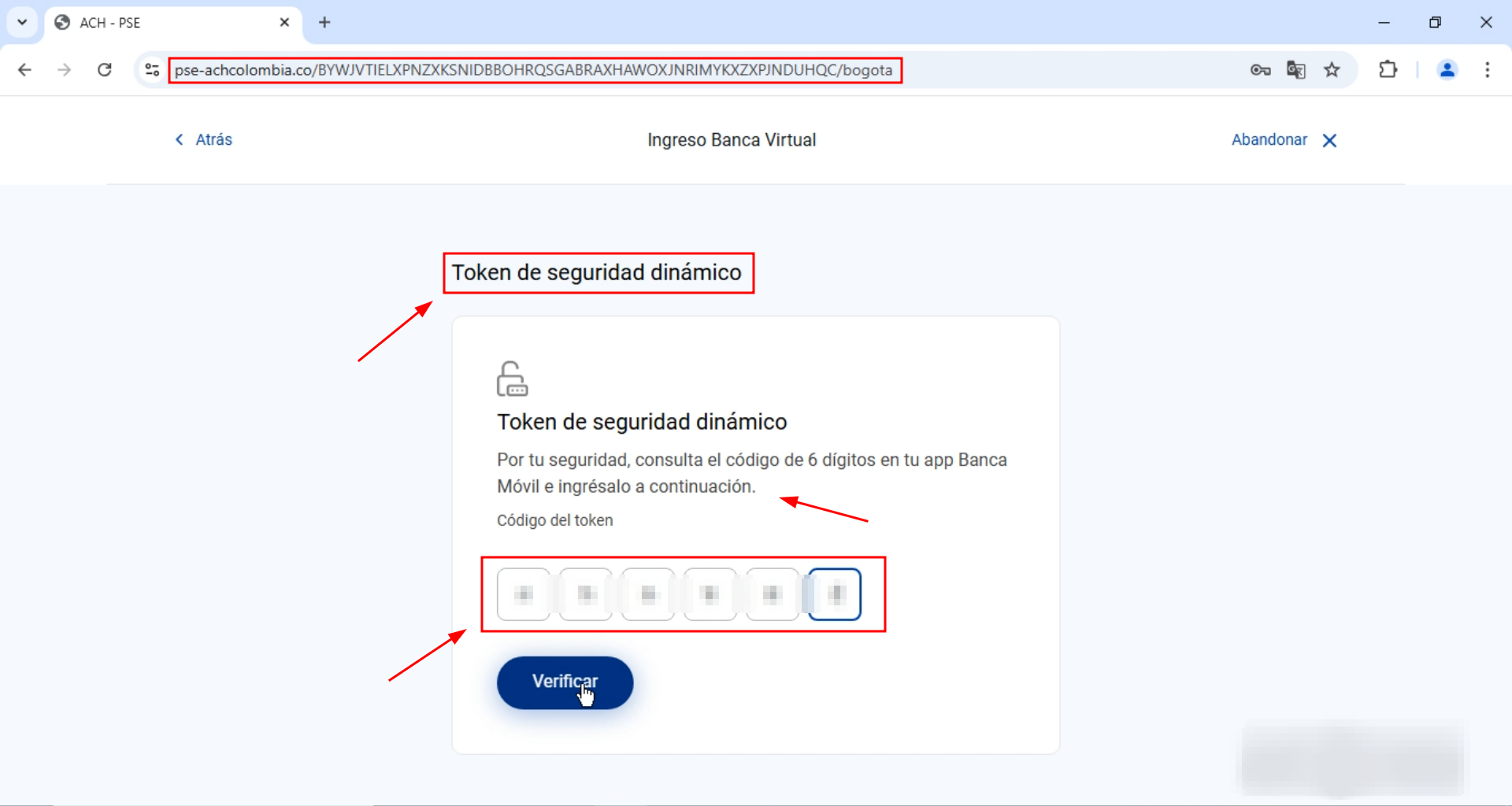 fraudulent payment network